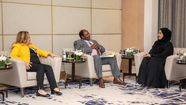 جانب من الاجتماعات