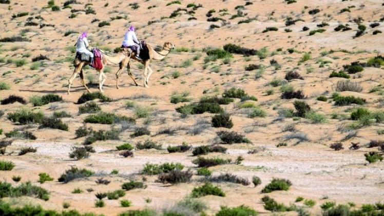 بطولة القلايل "صورة أرشيفية"