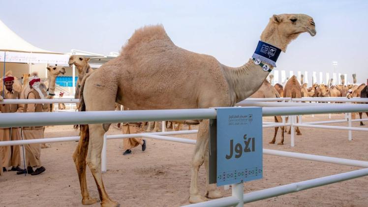 رثوان الدوسري