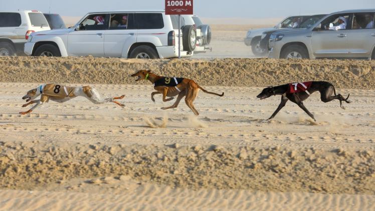 جانب من المنافسات