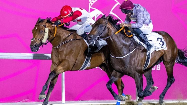 جانب من منافسات كأس فويرط