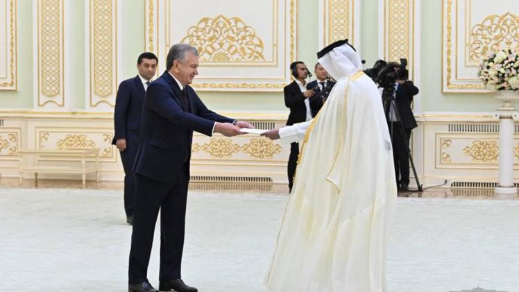 جانب من تسليم أوراق الاعتماد