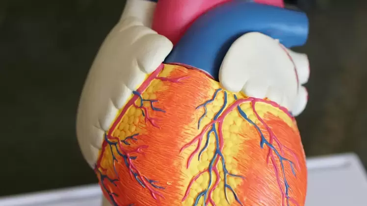 صورة تعبيرية