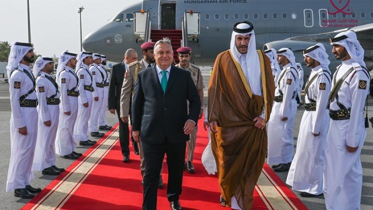 جانب من الاستقبال