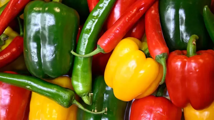 صورة تعبيرية