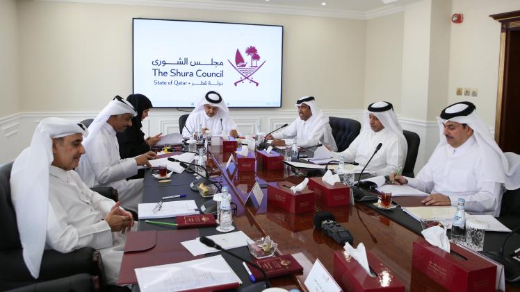 جانب من اجتماع اللجنة