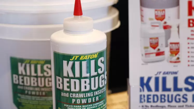 صورة تعبيرية