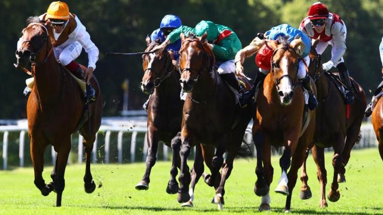 جانب من المنافسات