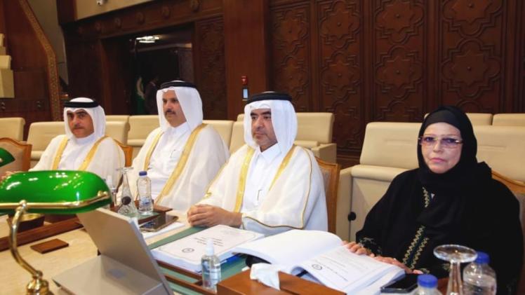 جانب من المشاركة القطرية