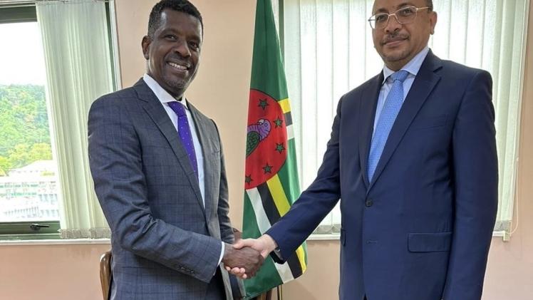 خلال تسليم أوراق الاعتماد