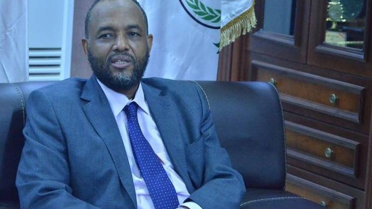 سعادة السيد هيثم محمد إبراهيم وزير الصحة السوداني