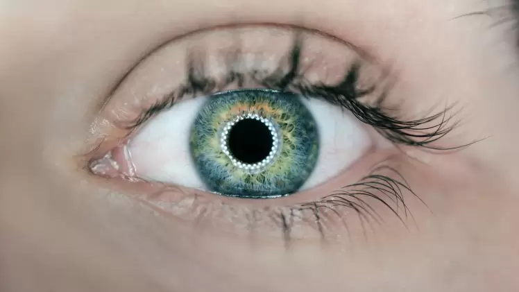 صورة تعبيرية