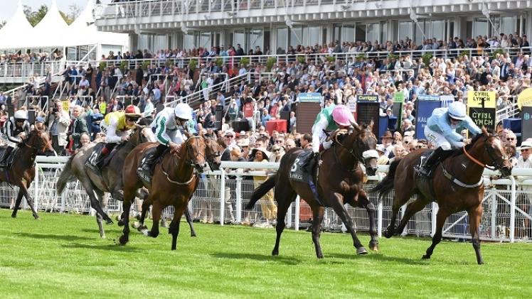 جانب من منافسات مهرجان قطر غودوود