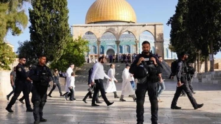 اقتحامات مستمرة للمسجد الأقصى