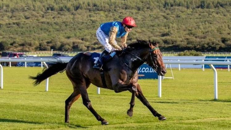 المهر بر كونترا