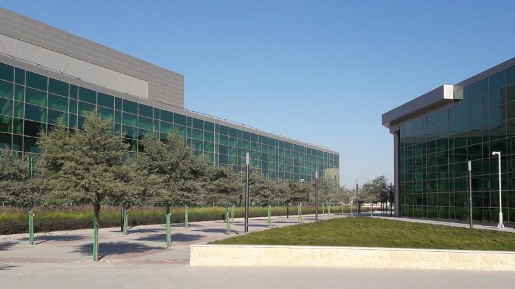 جامعة حمد بن خليفة