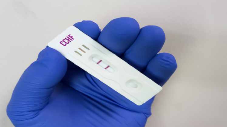 صورة تعبيرية