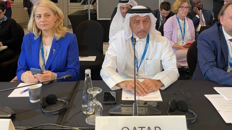 سعادة الدكتور سلطان بن سالمين المنصوري