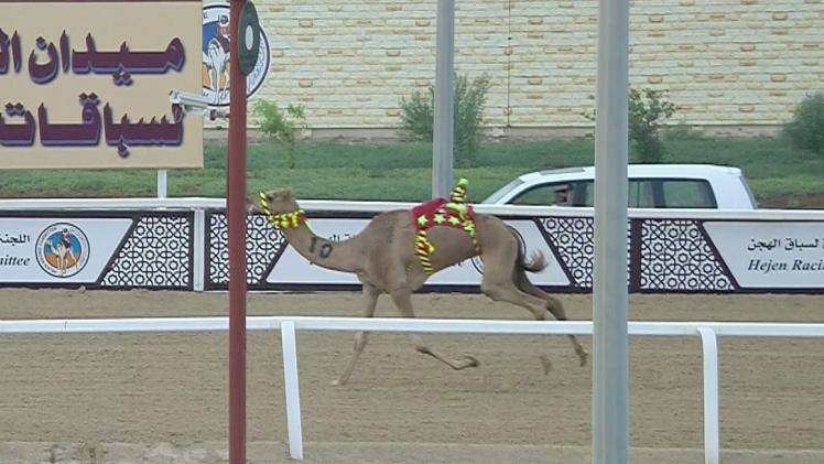 جانب من المنافسات