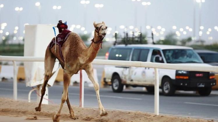 جانب من المنافسات