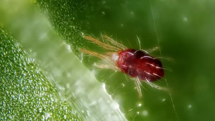 صورة تعبيرية