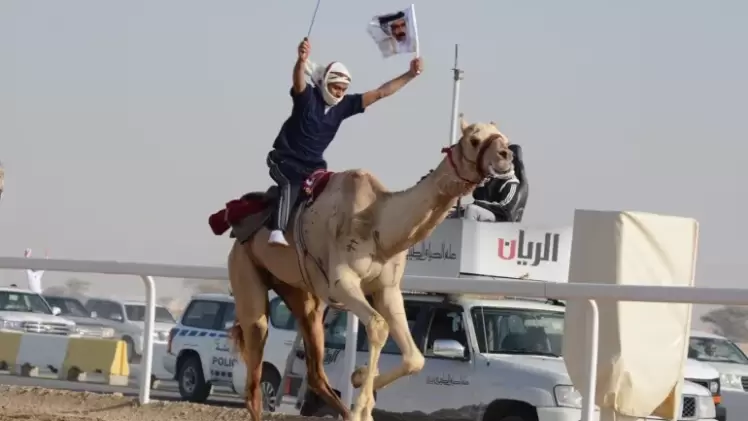 سباقات الهجن في قطر