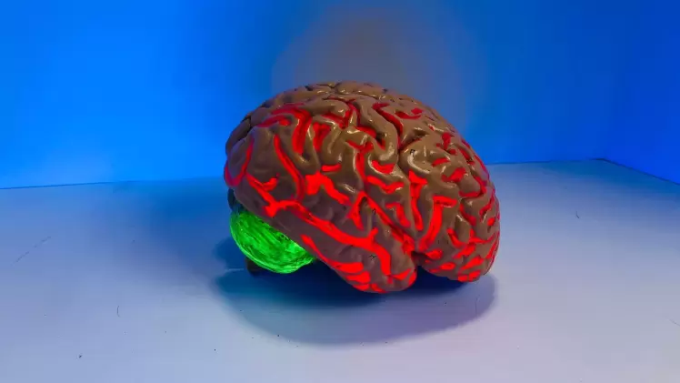 صورة تعبيرية