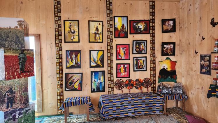 جانب من معروضات جناح النيجر في إكسبو الدوحة