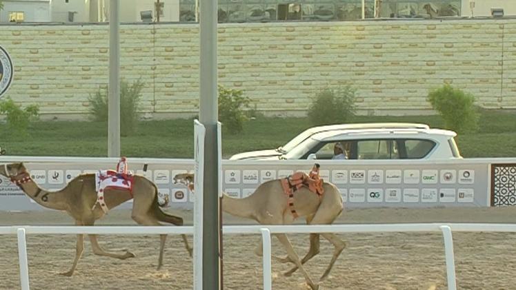 جانب من المنافسات