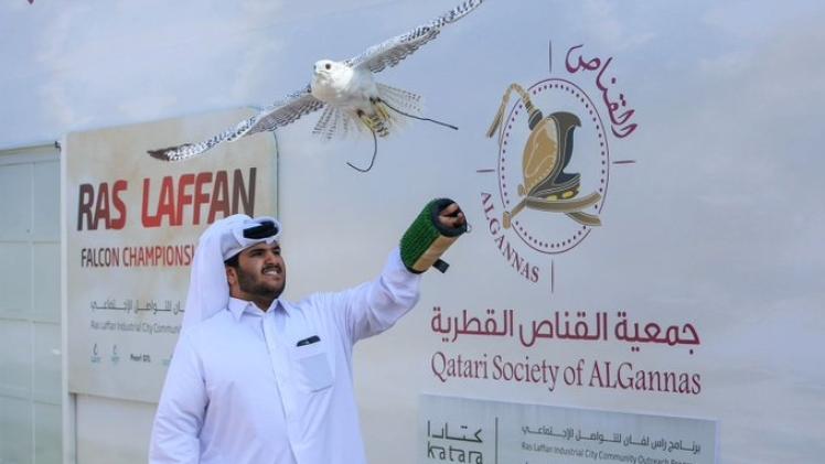 بطولة راس لفان للصقور