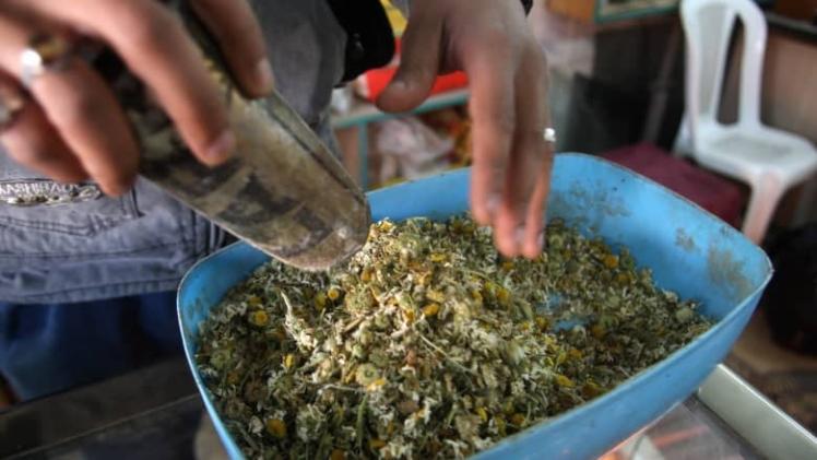 عشبة البابونج