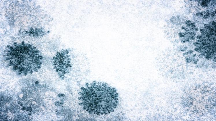 صورة تعبيرية