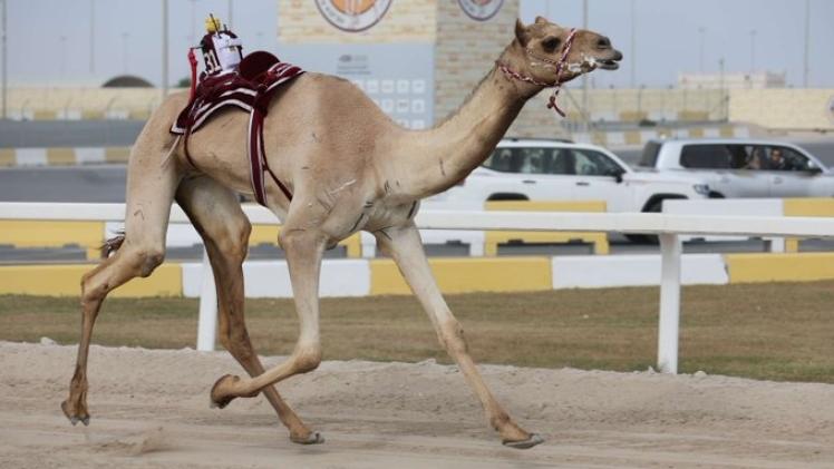 جانب من المنافسات