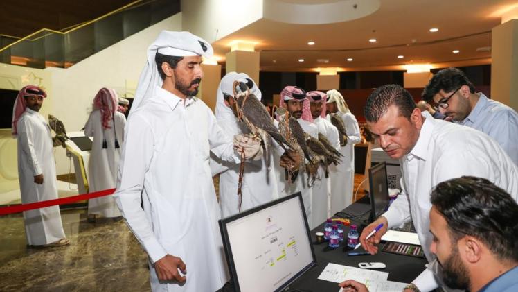 جانب من مهرجان مرمي الدولي