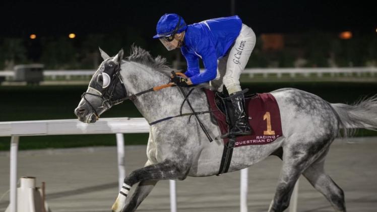 الجواد نيجينسكي الموري