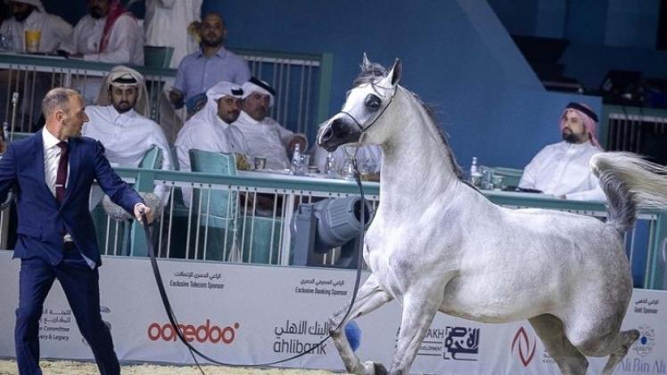 جانب من المنافسات