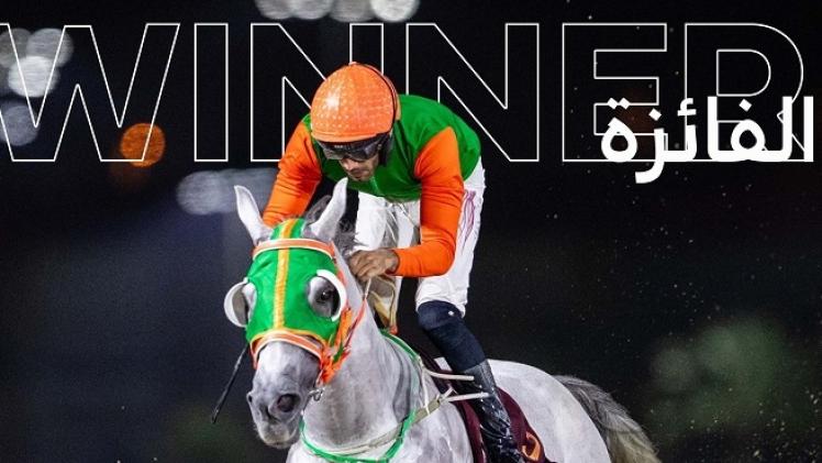 الفرس "اعتبار"