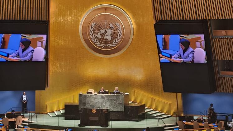 سعادة الشيخة علياء أحمد بن سيف آل ثاني