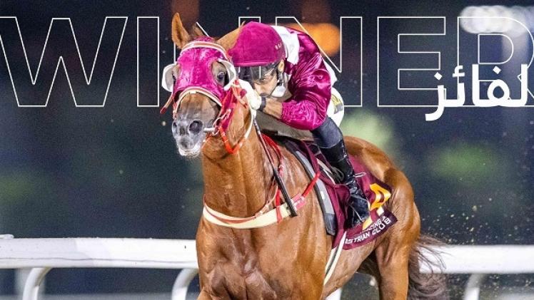 الجواد سهيل قطر