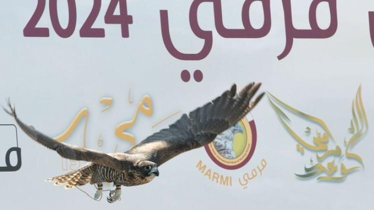 مهرجان قطر الدولي للصقور والصيد "صورة أرشيفية"