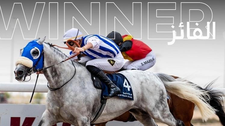 الجواد "ضاوي"