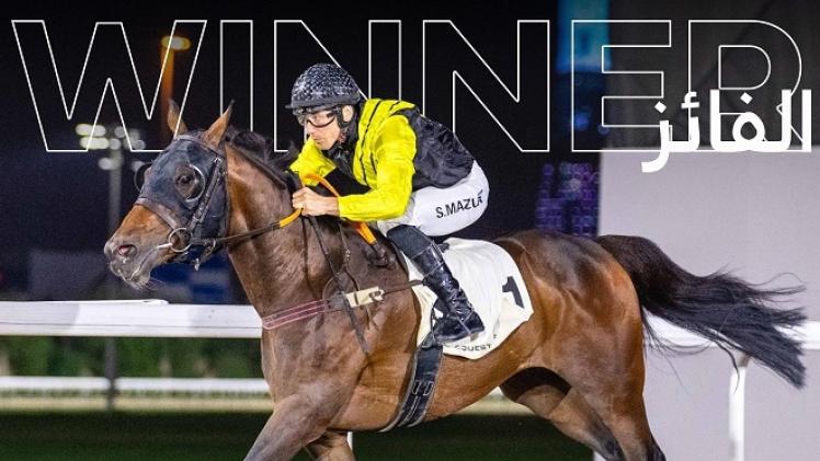 الجواد "بوسويلو بي"