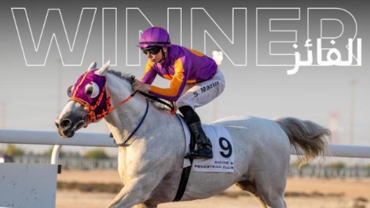 الجواد "سكر"