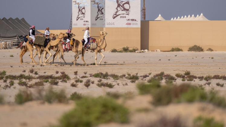 بطولة القلايل للصيد التقليدي "صورة أرشيفية"