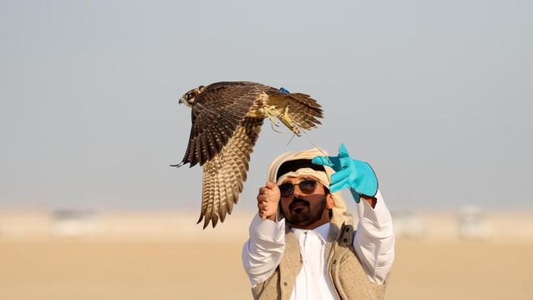 جانب من المنافسات