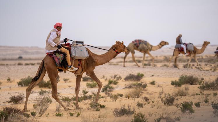 بطولة القلايل للصيد التقليدي