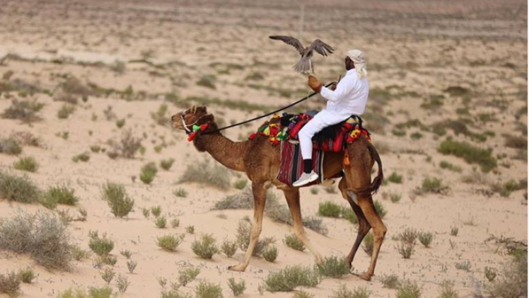 جانب من المنافسات