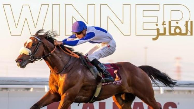 الجواد النصر الوشيك