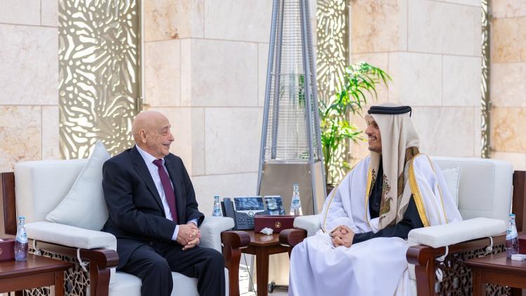 جانب من المقابلة