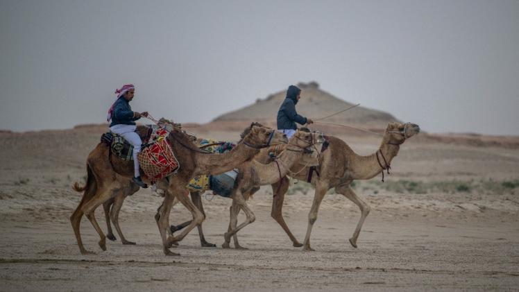 جانب من المنافسات